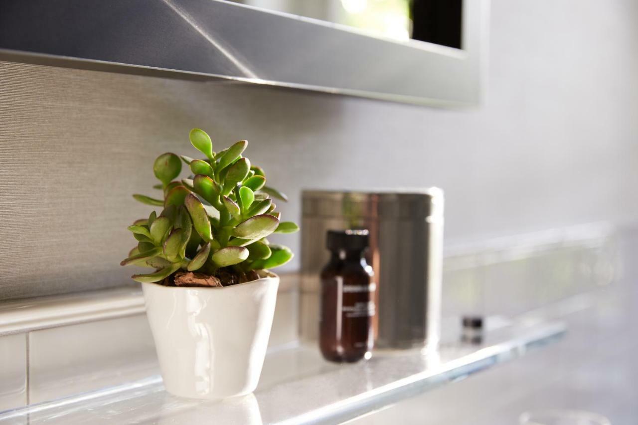 ザ ホイットニー ホテル ボストン エクステリア 写真 A small plant in a kitchen